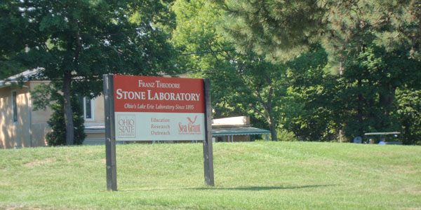 osustonelabs